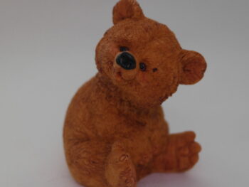 Orso in resina